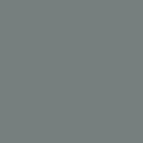 Dark Gull Gray 17ml Acryl-Farbe
