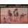 1:72 Arab Camel Riders and Bedouin (Biblica Era)