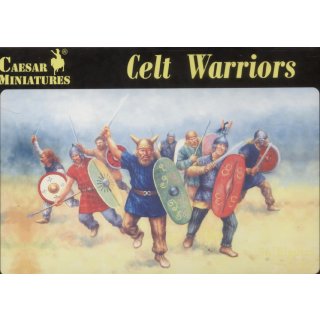 1:72 Celt Warriors