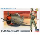 Eggplane P-40 Warhawk