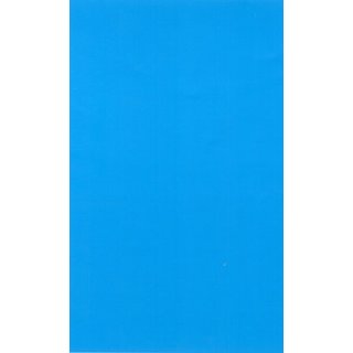 Decal hell-blau   FS35466
