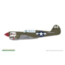 1:48 Warhawk P-40N Profi Pack