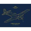 1:48 P-40N Warhawk Dual Combo Royal Class