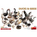 1:35 Duccks & Geese