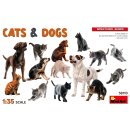 1:35 Cats & Dogs