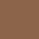 RAL8008 Mud brown 17ml, Acryl-Farbe