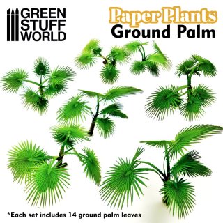 Papierpflanzen - Bismarckpalme