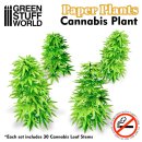 Papierpflanzen - Cannabis