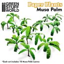 Papierpflanzen - Musabaum